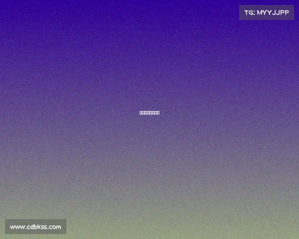 足球各项赛事排名